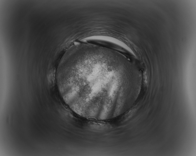 X0000086290475200704131552