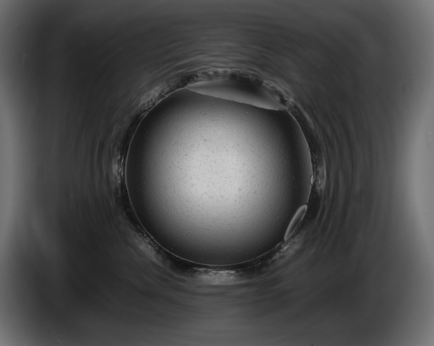 X0000086290476200704131552