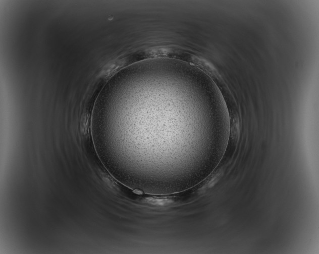 X0000086290477200704131552