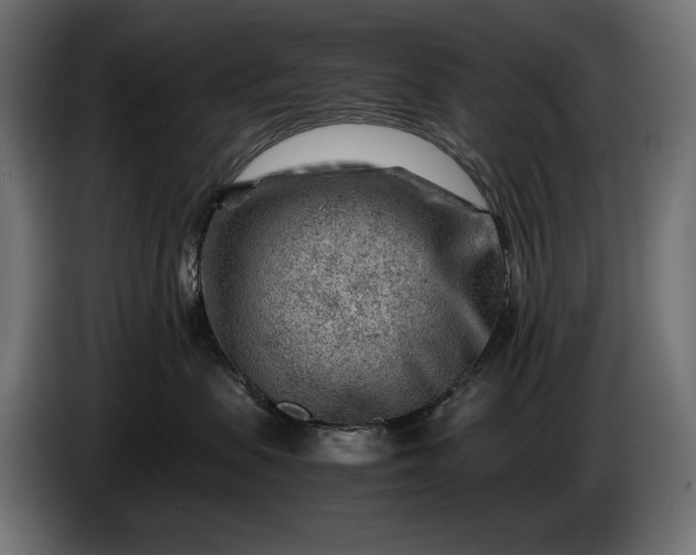 X0000086290479200704131552