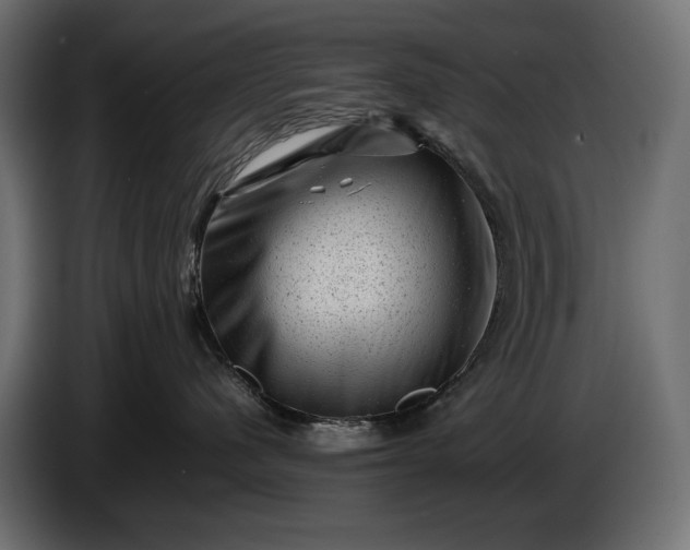 X0000086290480200704131552