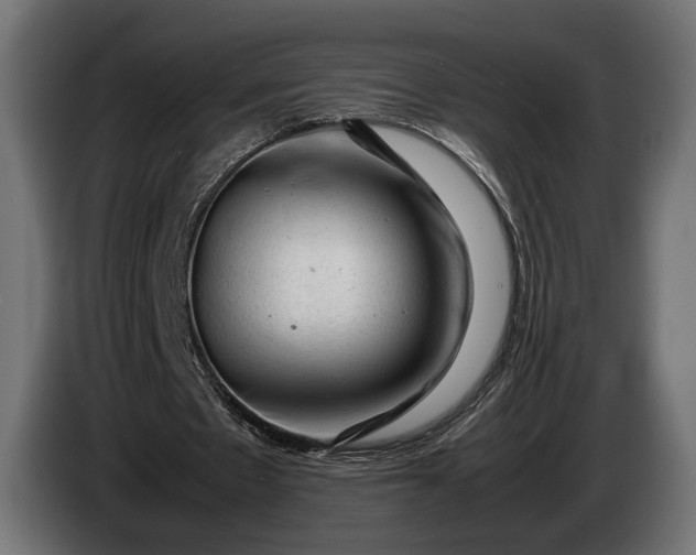 X0000086290481200704131551