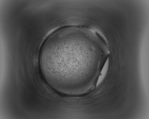 X0000086290483200704131551