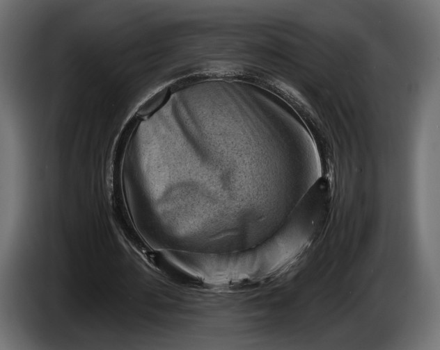 X0000086290484200704131551