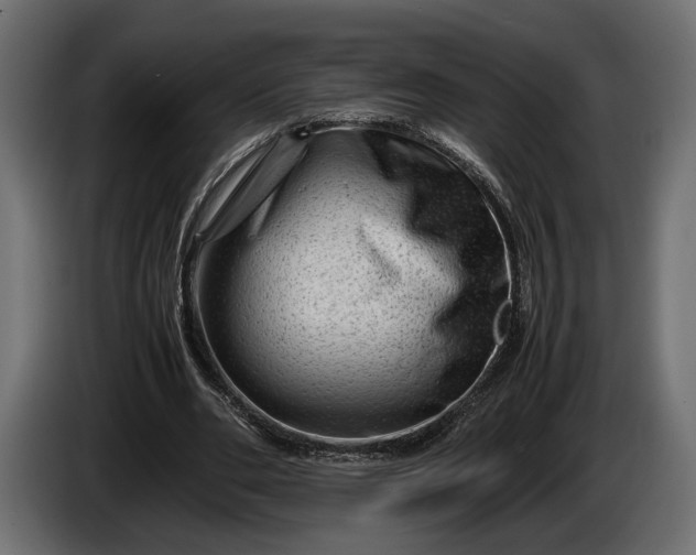 X0000086290486200704131551