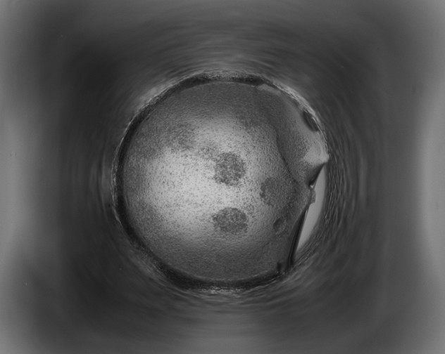 X0000086290487200704131551