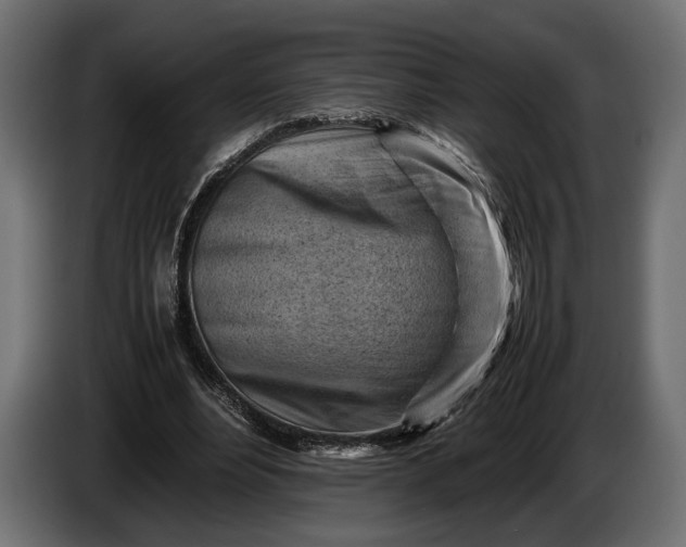 X0000086290488200704131551