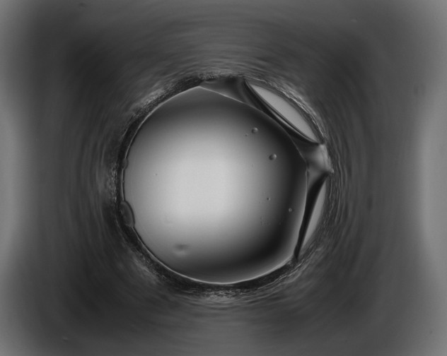 X0000086290489200704131551