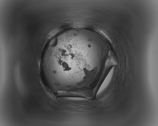 X0000086290491200704131551