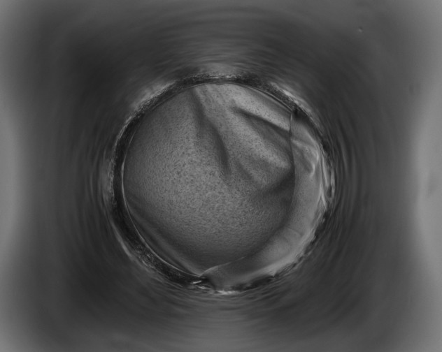 X0000086290492200704131551