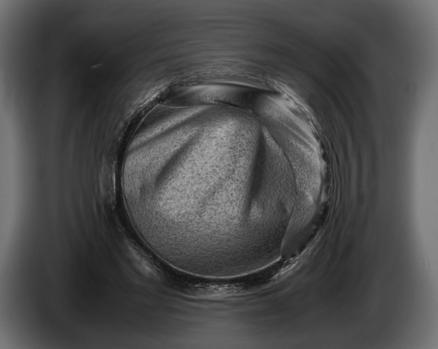X0000086290493200704131551