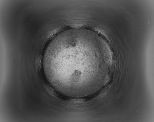 X0000086290495200704131551