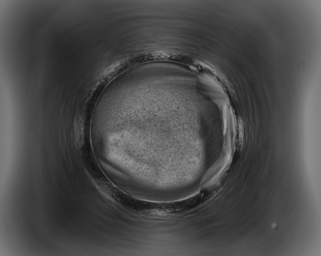 X0000086290496200704131551