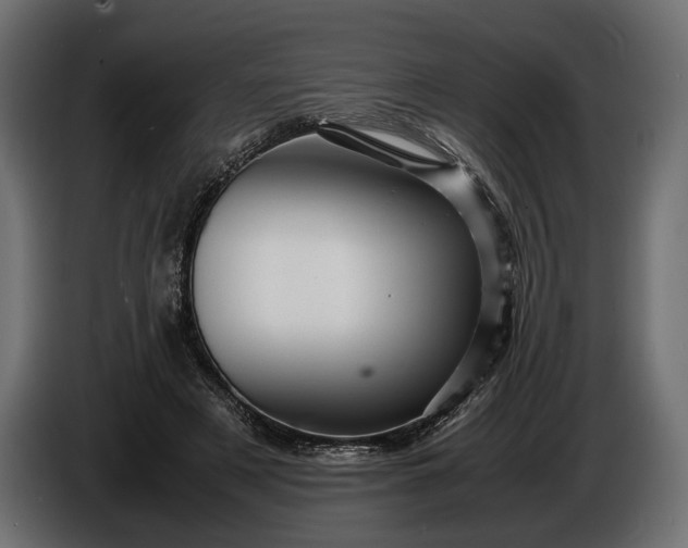X0000086290497200704131551