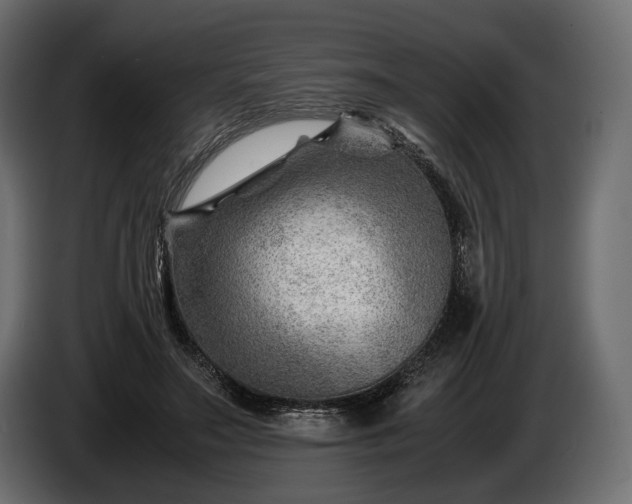 X0000086290499200704131551