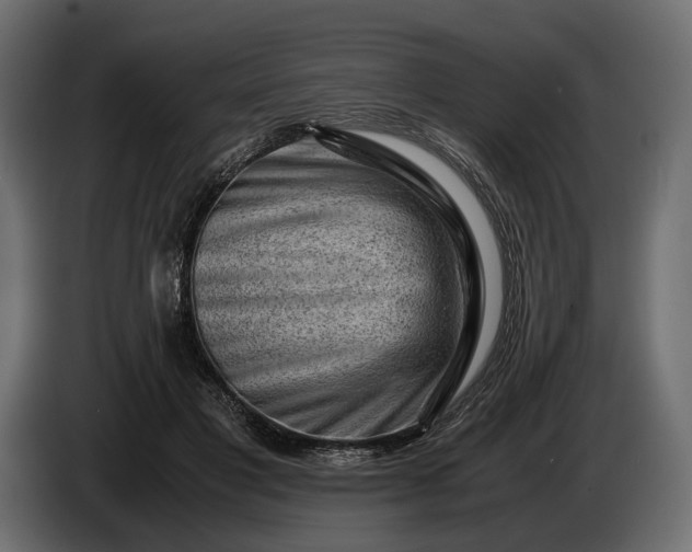 X0000086290501200704131551