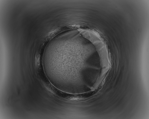 X0000086290504200704131551