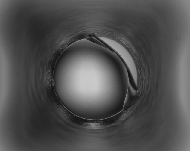 X0000086290509200704131551