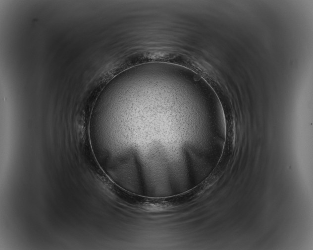X0000086290510200704131551