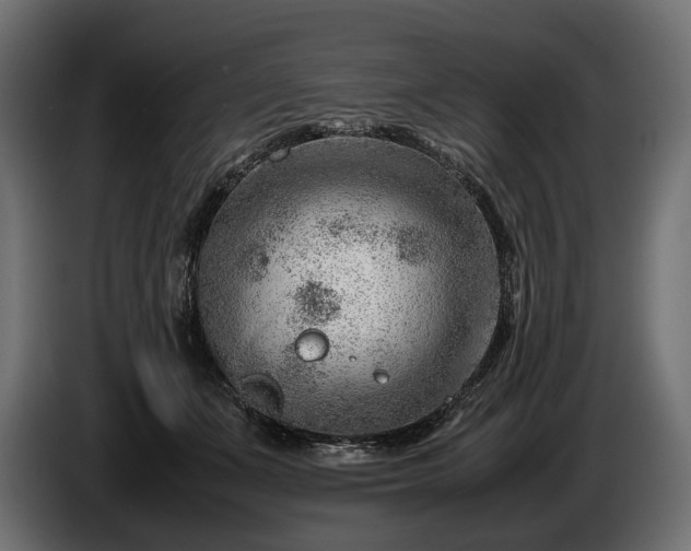 X0000086290511200704131551