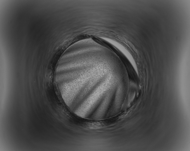 X0000086290513200704131551