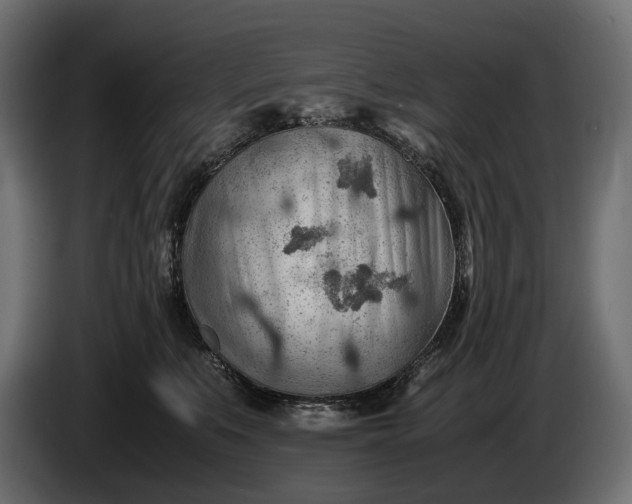 X0000086290519200704131550