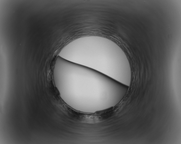 X0000086290520200704131550