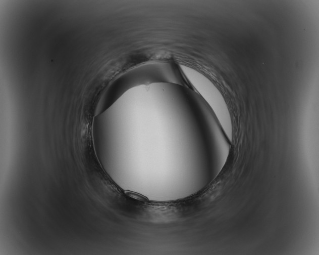 X0000086290521200704131550