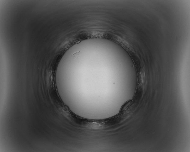 X0000086290522200704131550