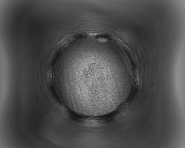 X0000086290523200704131550