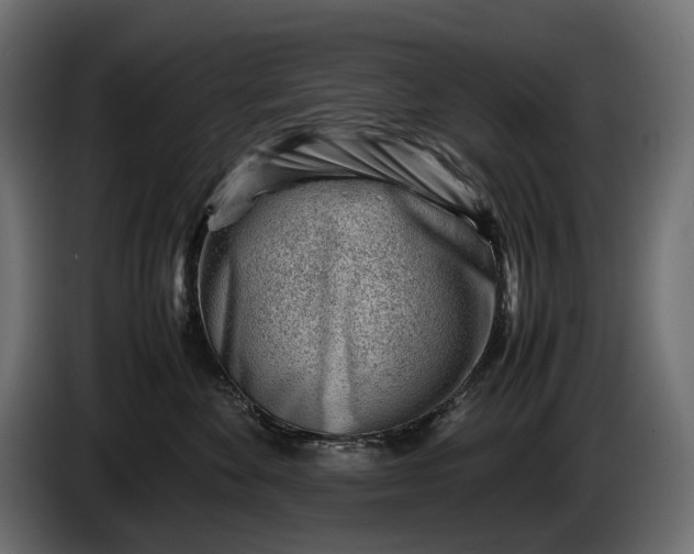 X0000086290524200704131550
