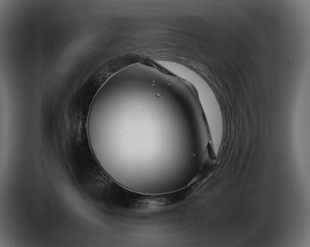 X0000086290525200704131550