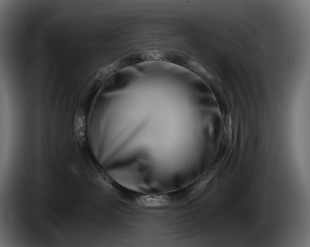 X0000086290526200704131550