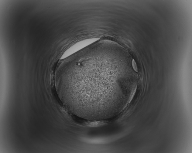 X0000086290527200704131550