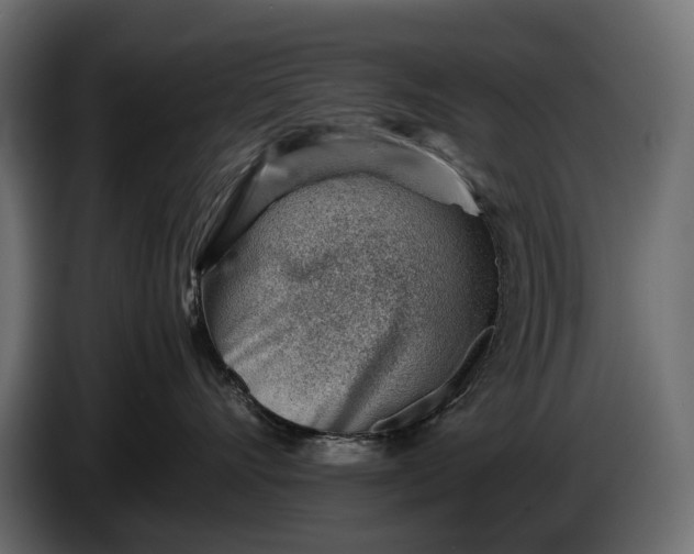 X0000086290528200704131550