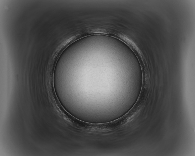 X0000086290529200704131550