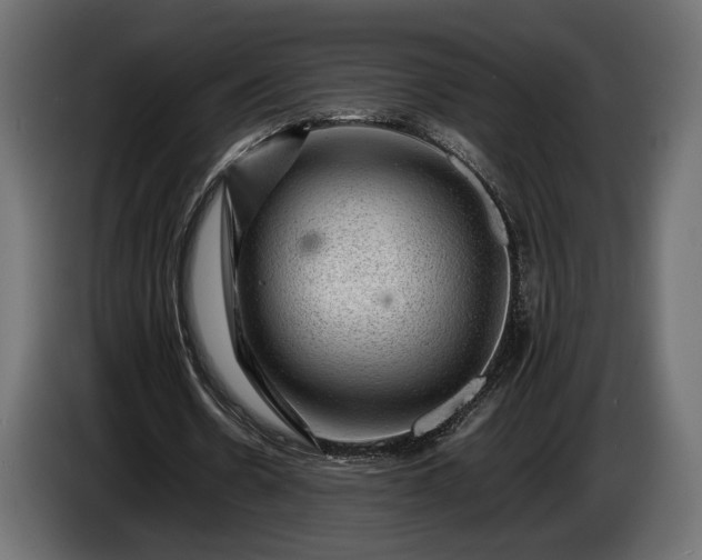 X0000086290530200704131550