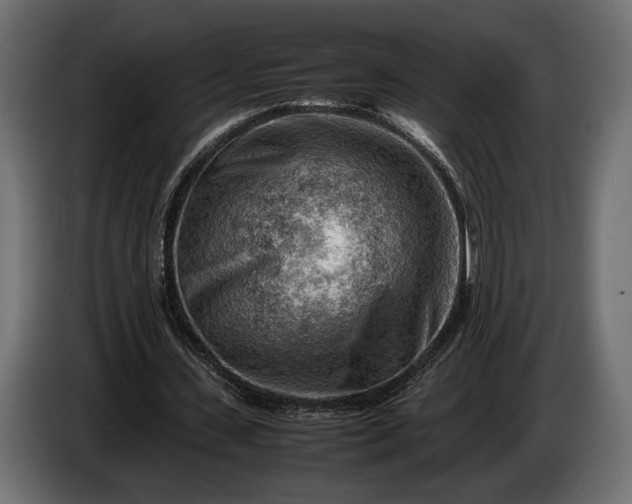 X0000086290531200704131550