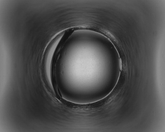 X0000086290532200704131550