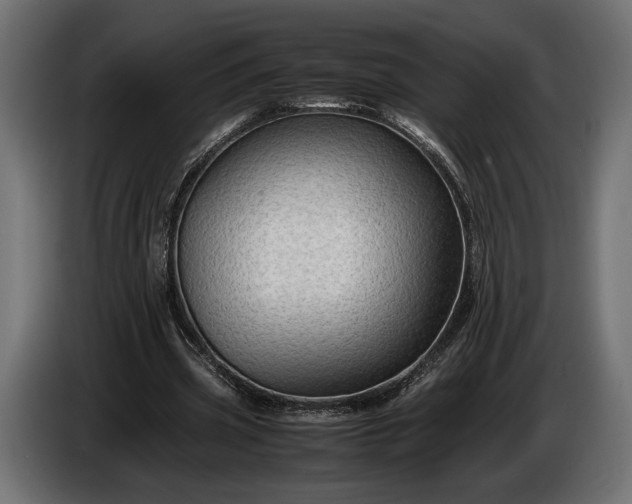 X0000086290533200704131550
