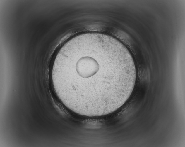 X0000086290534200704131550