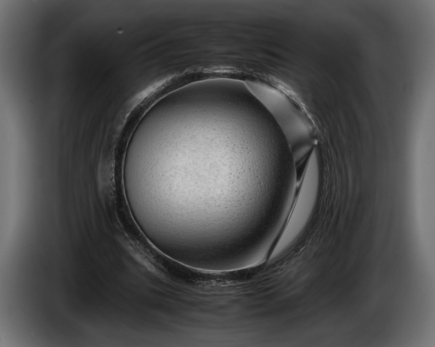 X0000086290535200704131550
