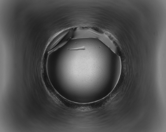 X0000086290536200704131550