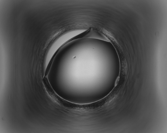 X0000086290538200704131550