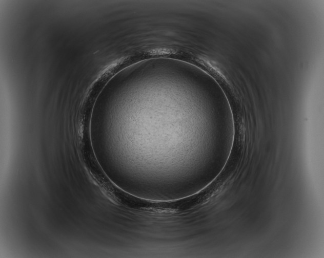 X0000086290539200704131550