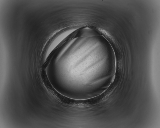 X0000086290540200704131550