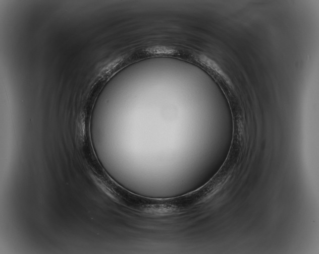 X0000086290541200704131550
