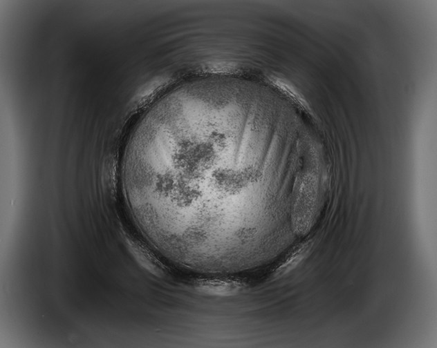 X0000086290542200704131550