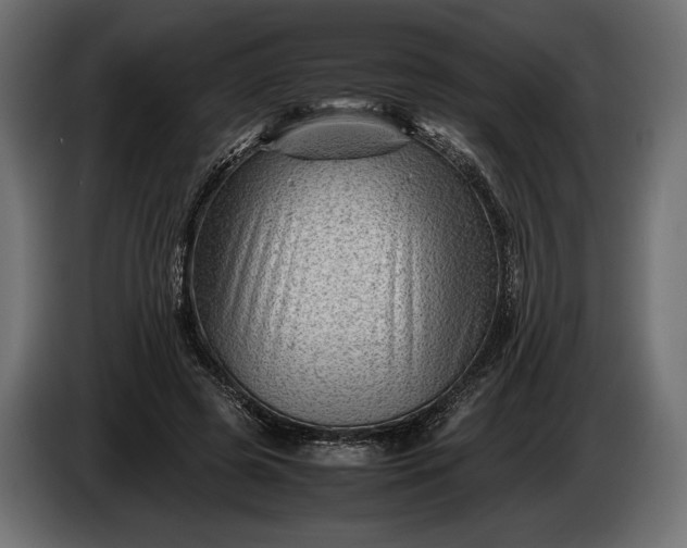 X0000086290545200704131550