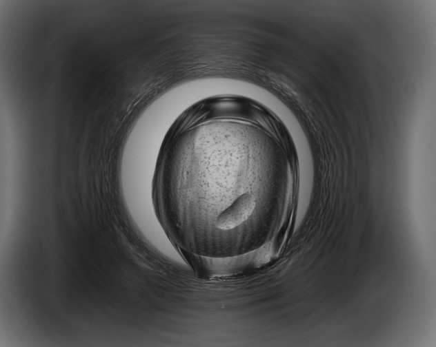 X0000086290546200704131550